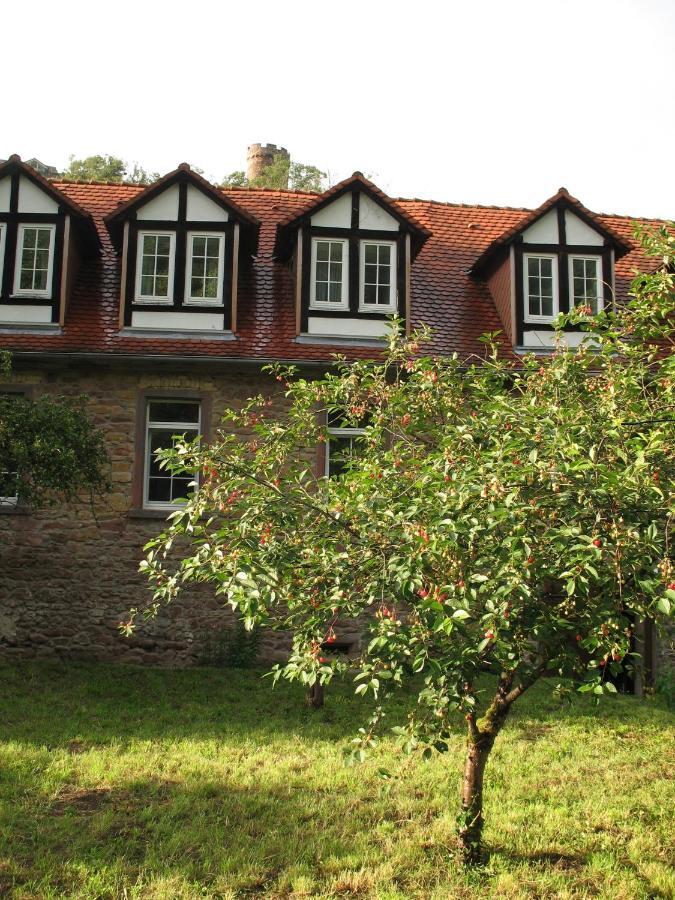 Отель Gastehaus Felsenmuhle Im Tal Neuleiningen Номер фото